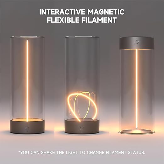 Magnetic lamp light